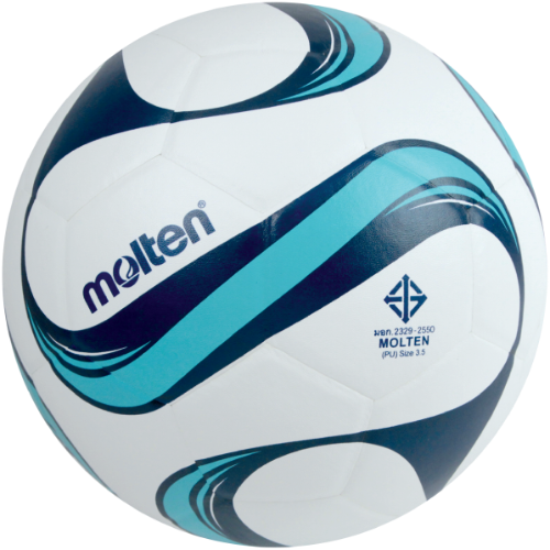 ลูกฟุตซอล Molten F9F2600-WB